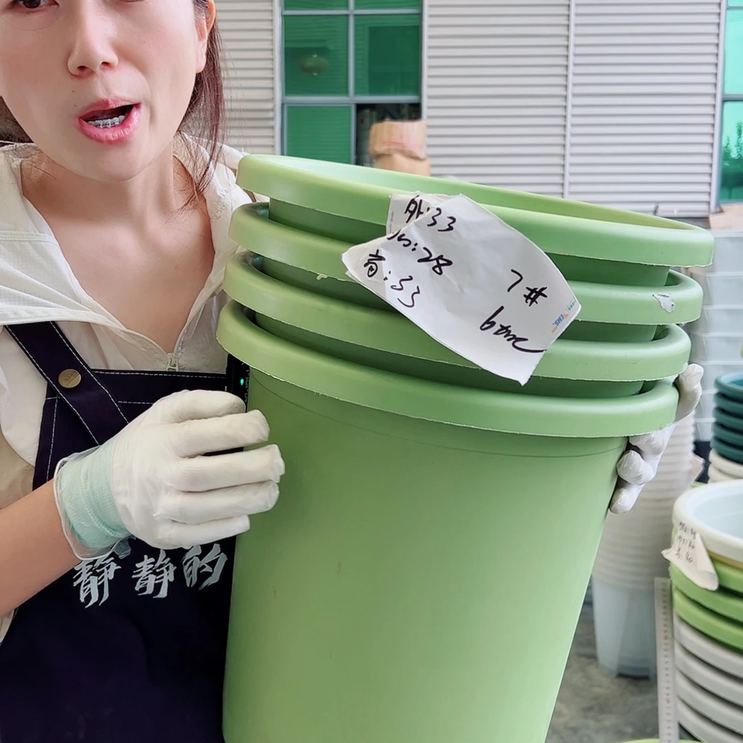 四季盆7#果绿4个无托