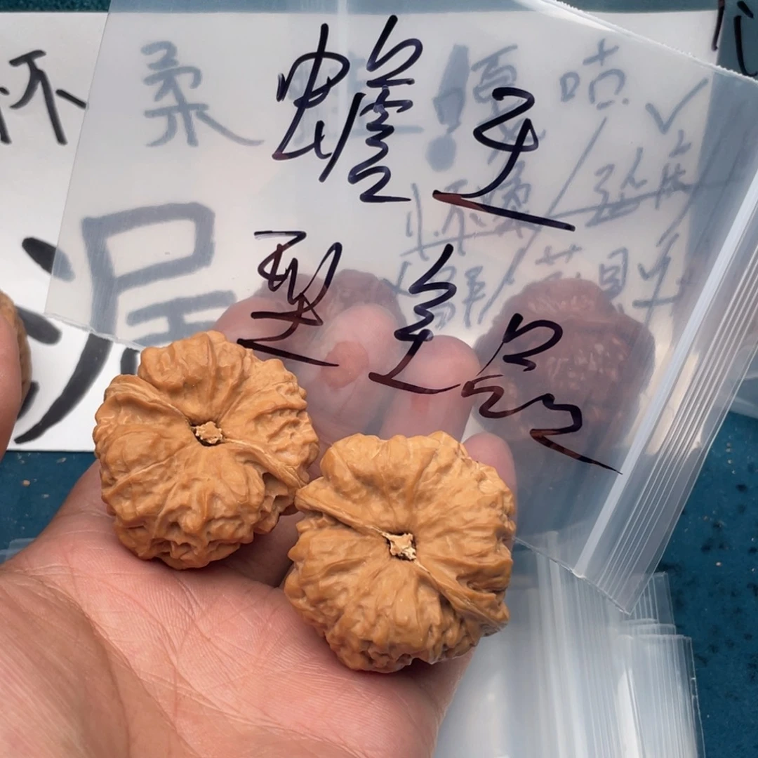 核桃W947479947974694479974