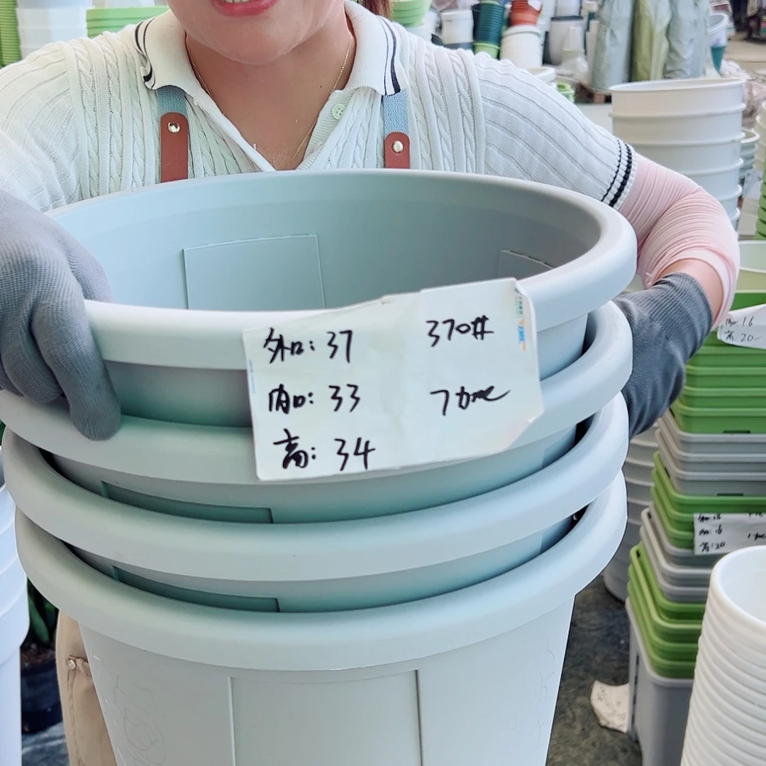 玫瑰370#灰白色4个无托