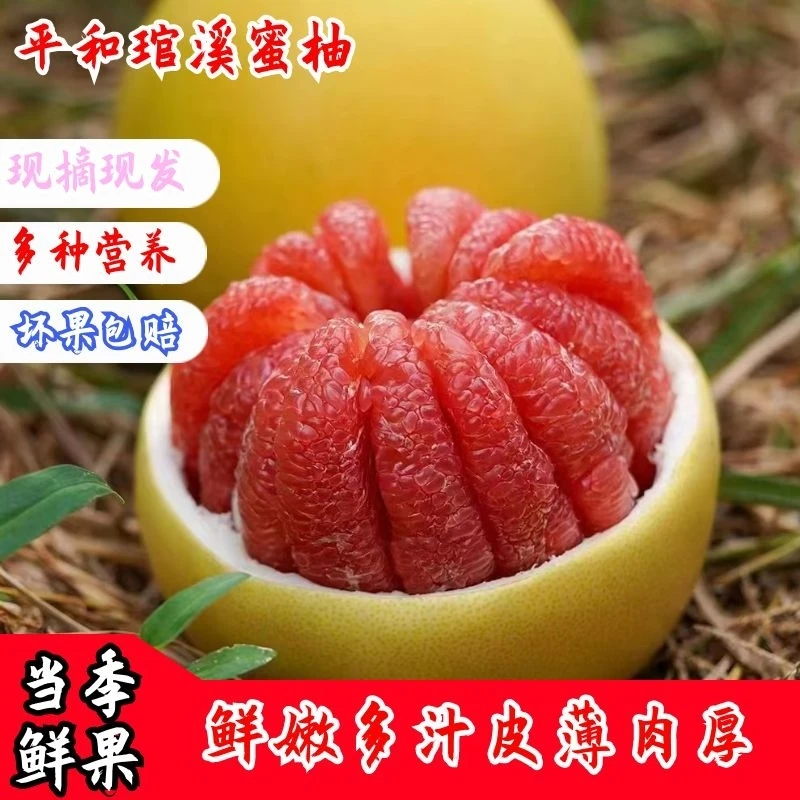 【次日发】平和琯溪红心蜜柚福建漳州新鲜采摘皮薄甜多汁坏果包赔p1
