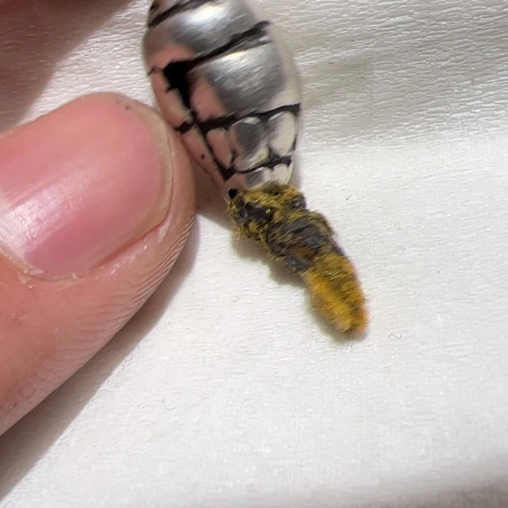 玻璃DIY你在一起的