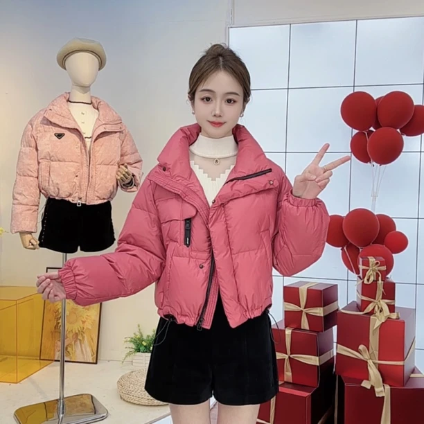 【收官清仓】立领冬季保暖时尚韩版短款纯色长袖百搭加厚含绒外套