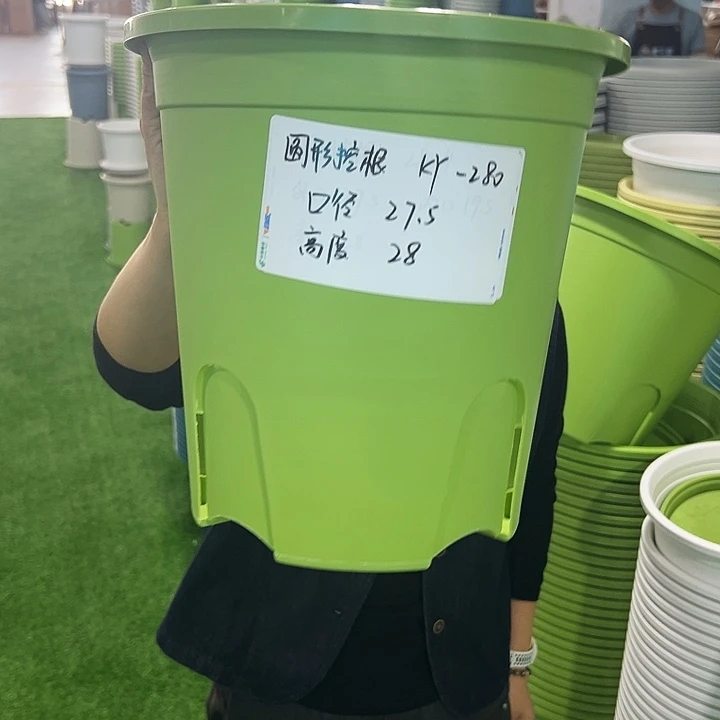 正品圆控口27.5高28果绿无托5只