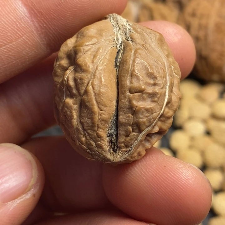 文玩核桃吊坠娜姐299
