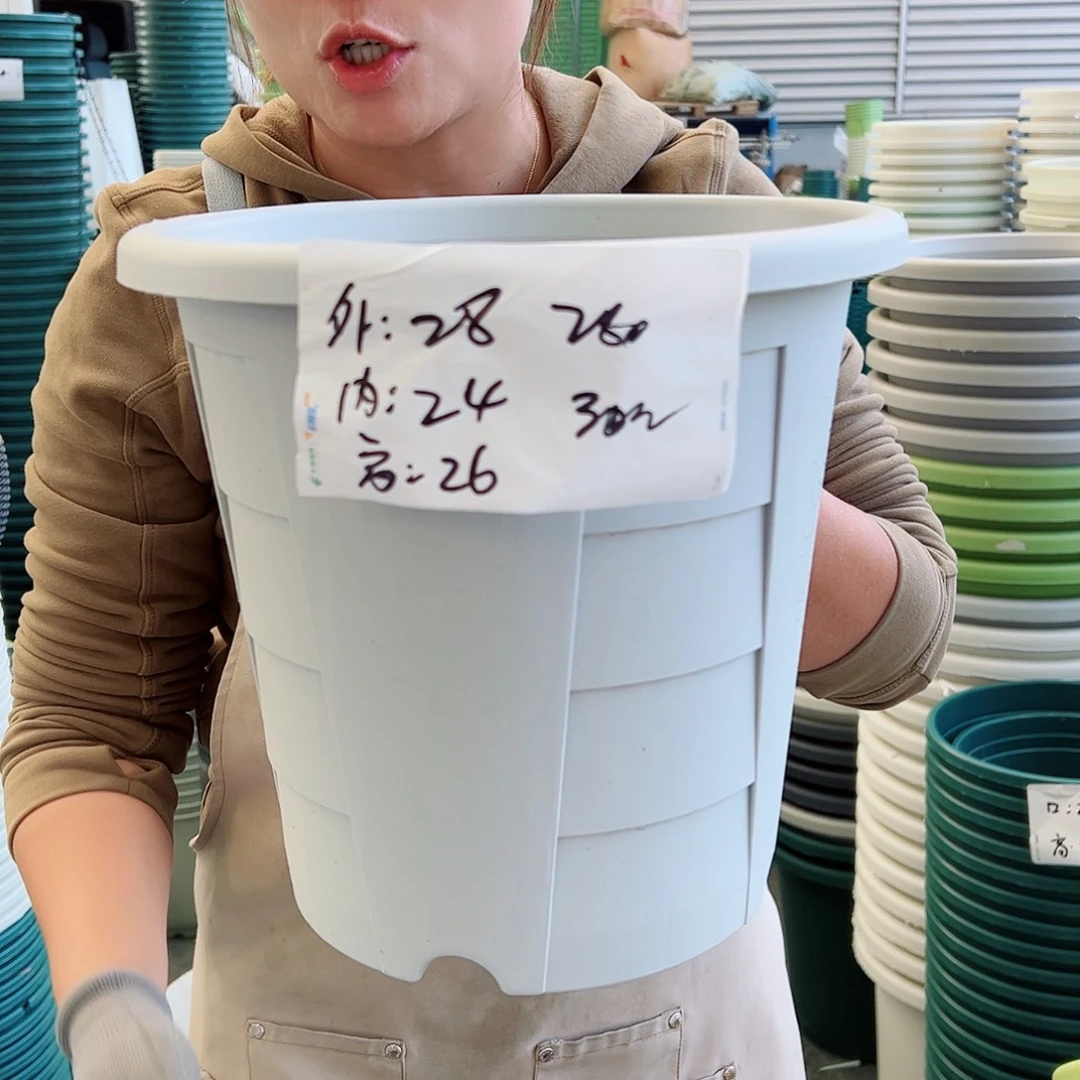 玫瑰280#灰白色5个无托