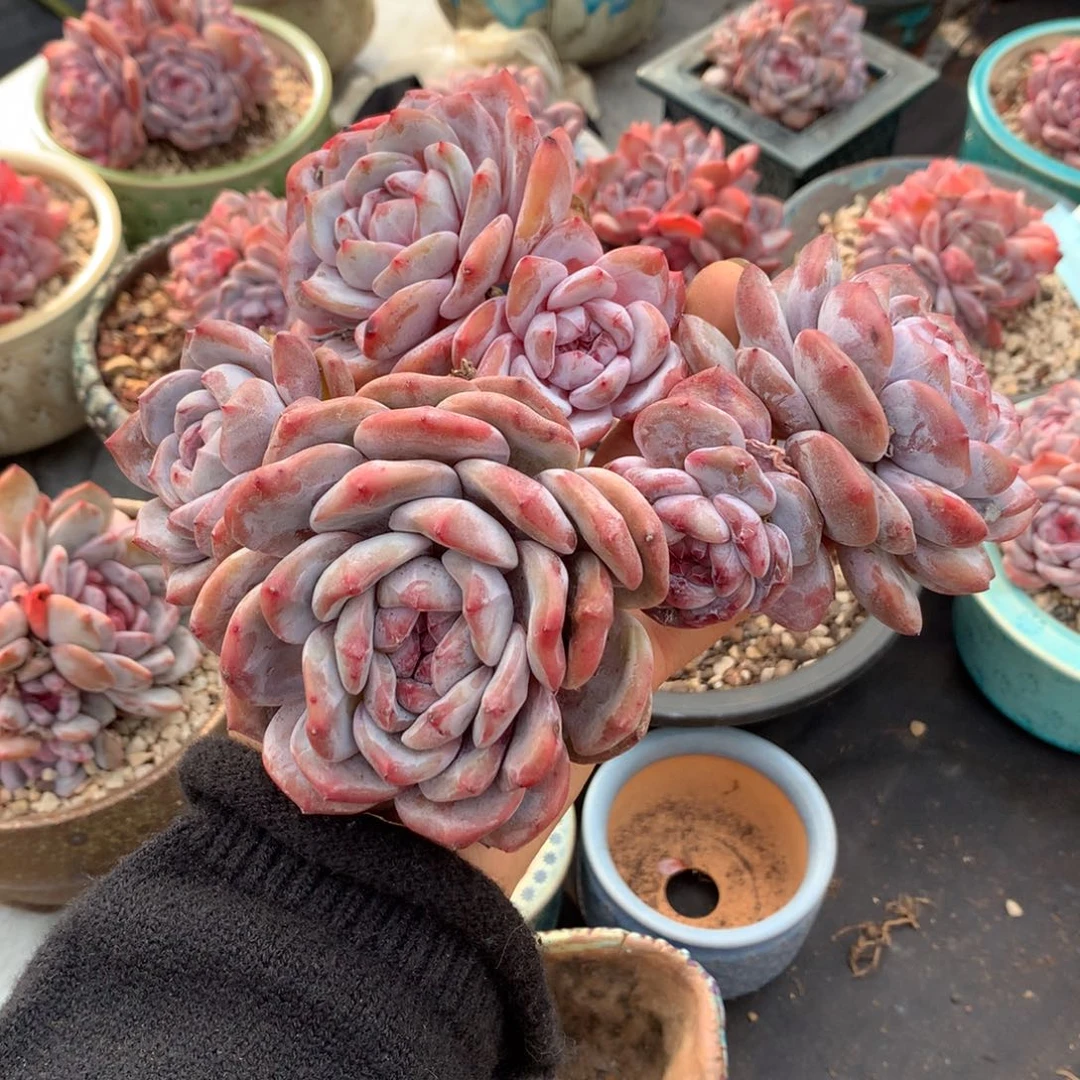 哈哈哈哈哈哈哈哈