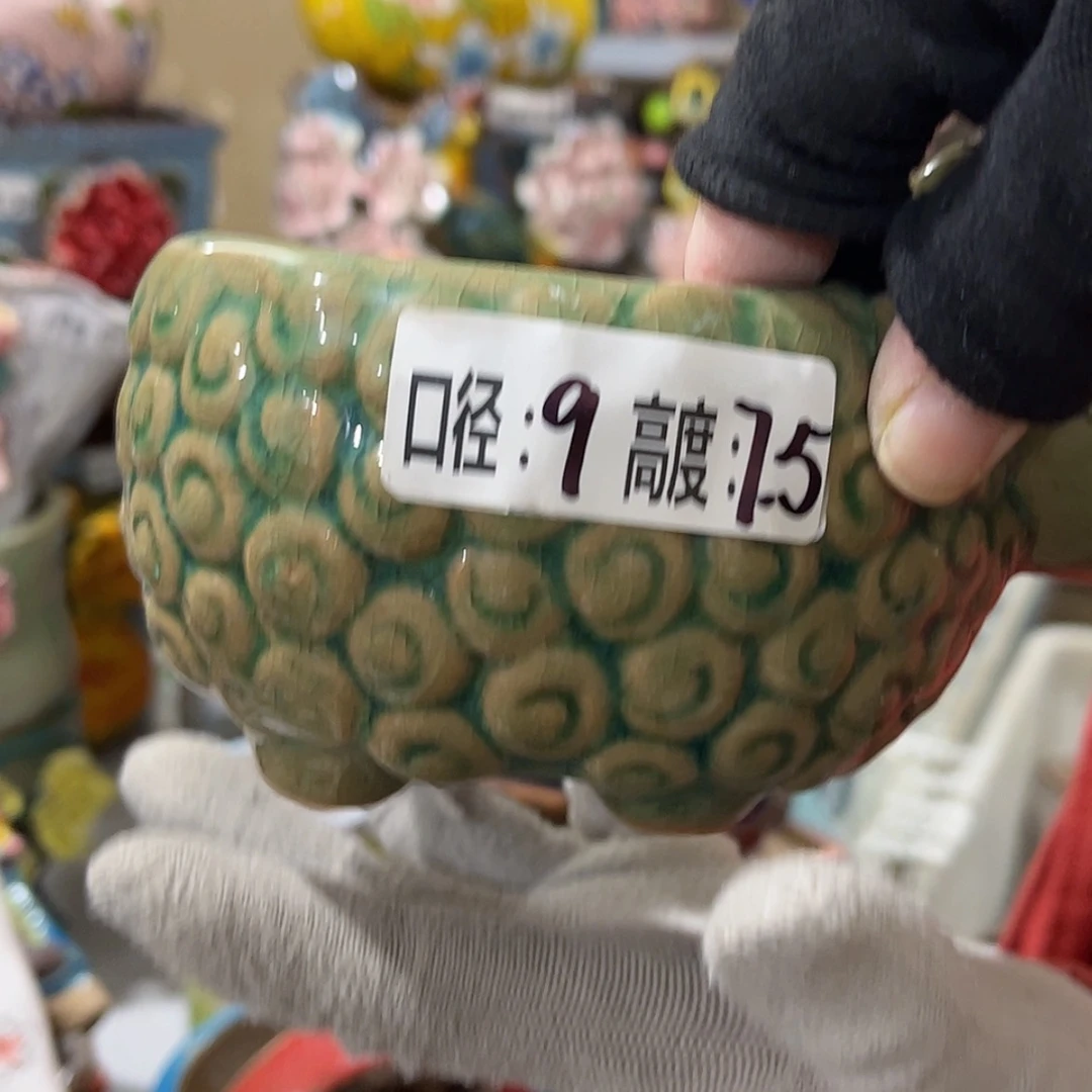 【闪购商品】红陶福利