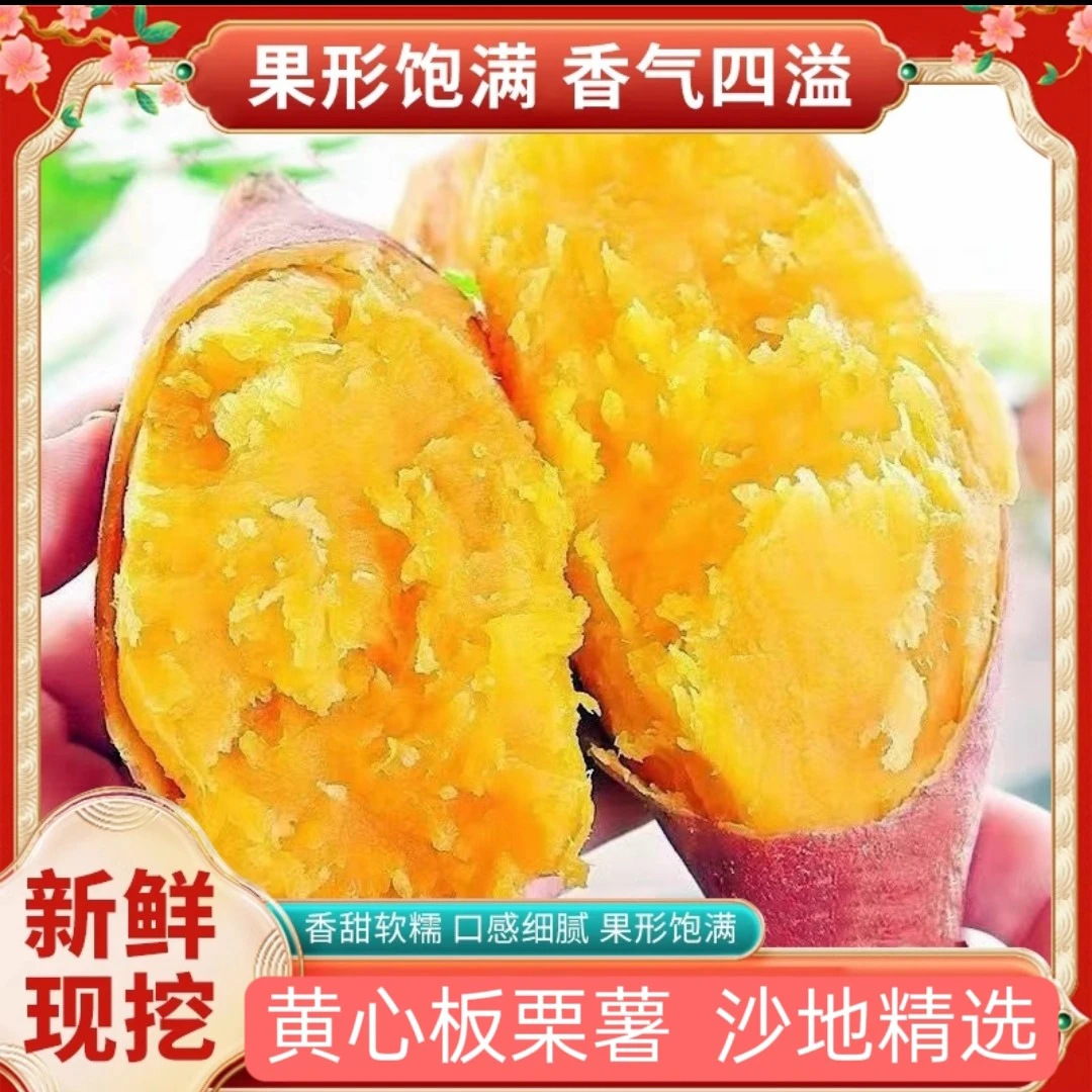 产地直达新鲜红薯现挖现发黄心蜜薯软糯香甜可口龙九地瓜新鲜番薯