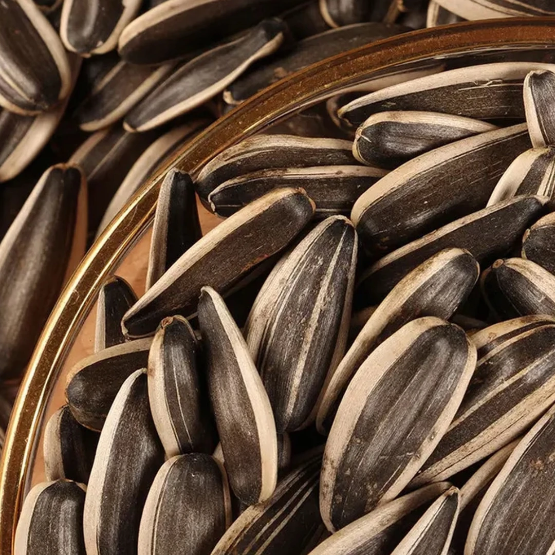 【买一送一】原味生瓜子中颗粒