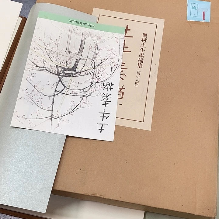 S***8精品系列感谢老师