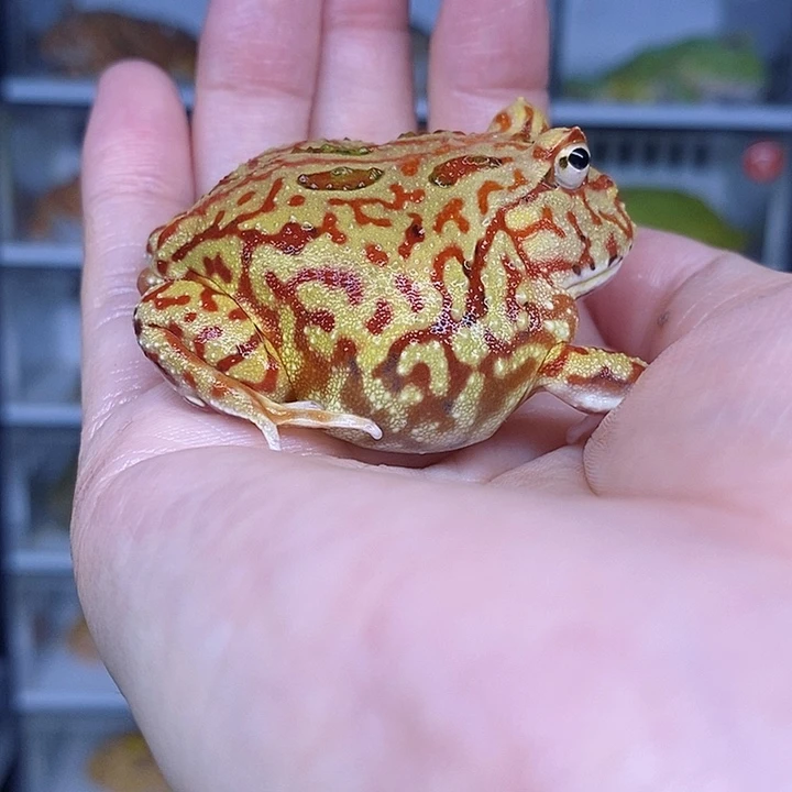 特价秒杀现货特价残