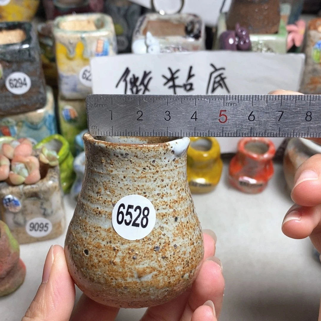 拍5送一个小礼物