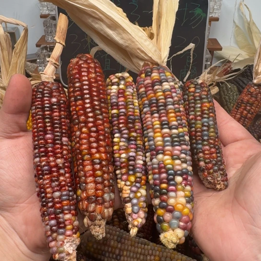 柏香籽/百香籽吊坠一****.