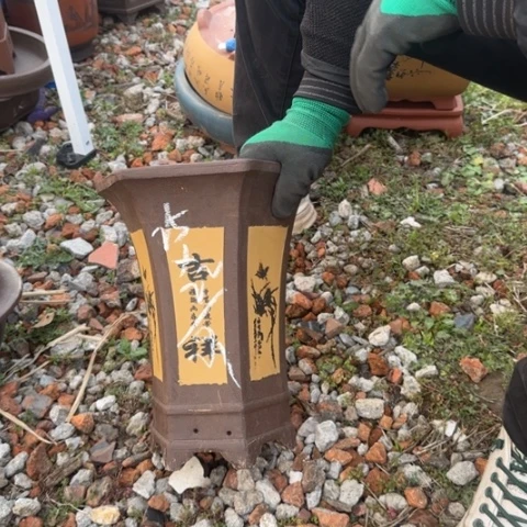 红陶紫砂花盆盆景盆栽瑕疵