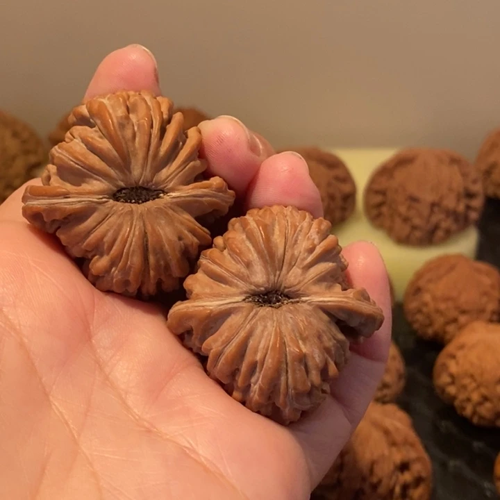 中***苏核桃文玩四座楼 38