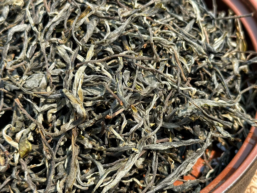 下磨烈.绿水塘6号：24年冰岛南迫大树春茶散茶