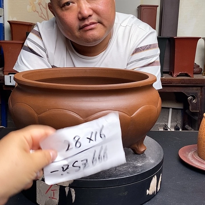 紫砂h花盆货号一只SZ666