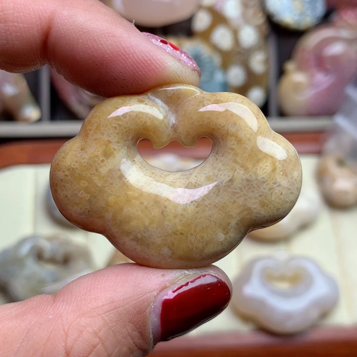 硅化珊瑚（珊瑚玉）颈饰未镶嵌