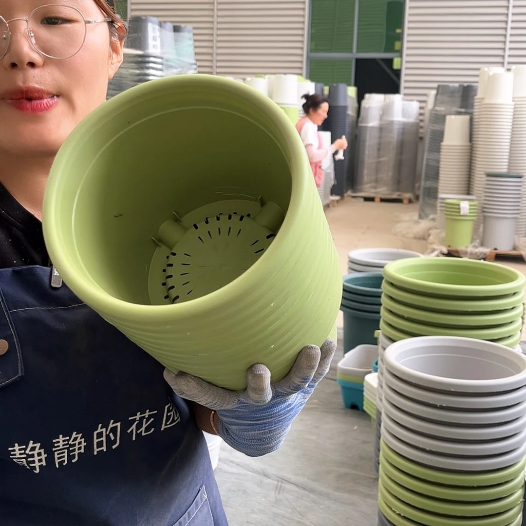 四季盆3#果绿色10个无托