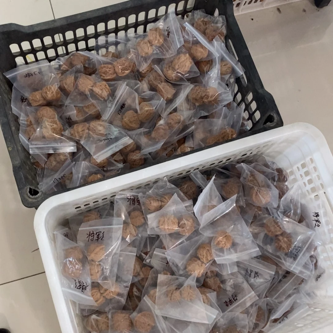 文玩核桃吊坠红盘龙闷令有瑕疵