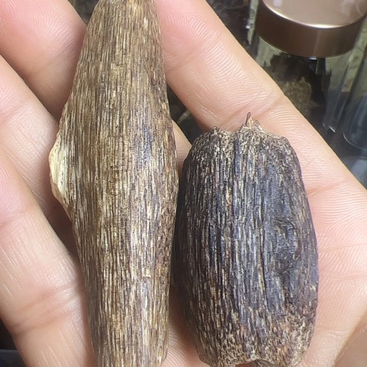 树脂制品玉*海南大瓜子8克