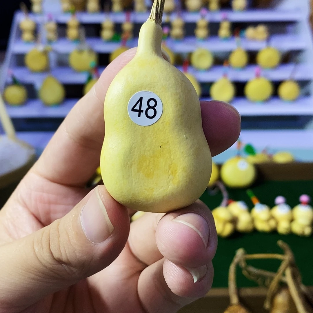 48 全场福利一直不停
