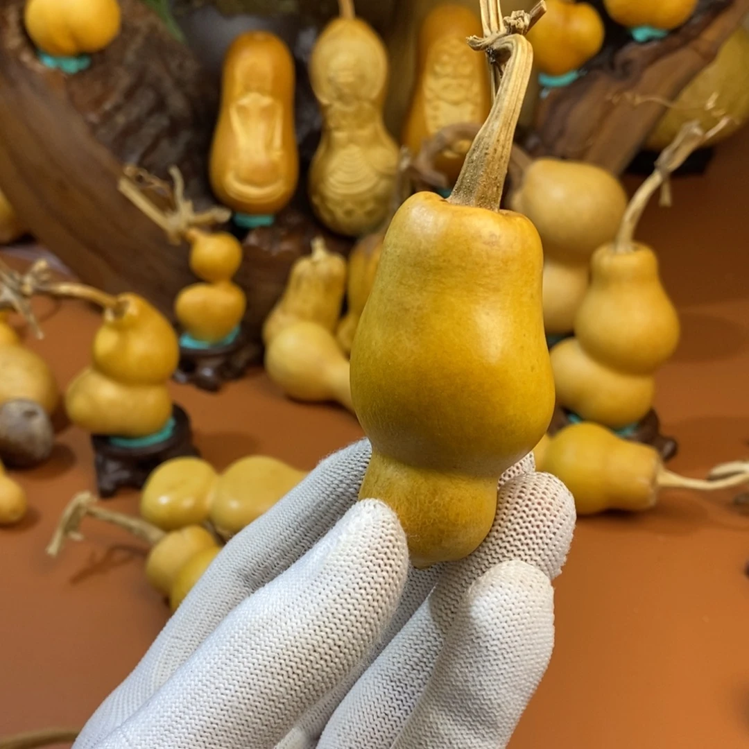 瑞***航教练咯教练咯教练教练