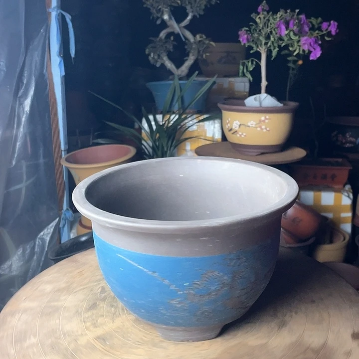 紫砂华哈哈哈哈哈哈6