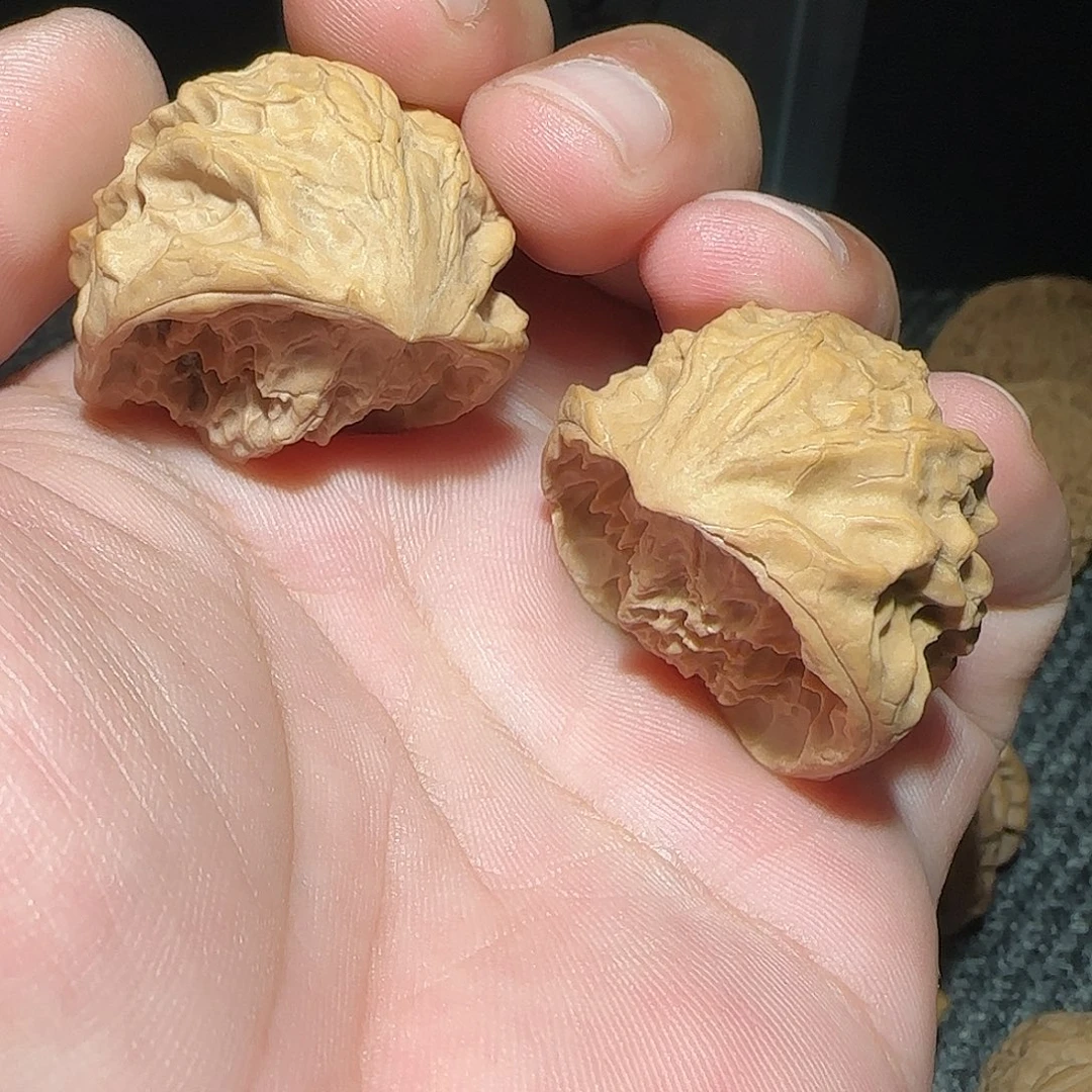 文玩核桃把件聚宝盆 全品
