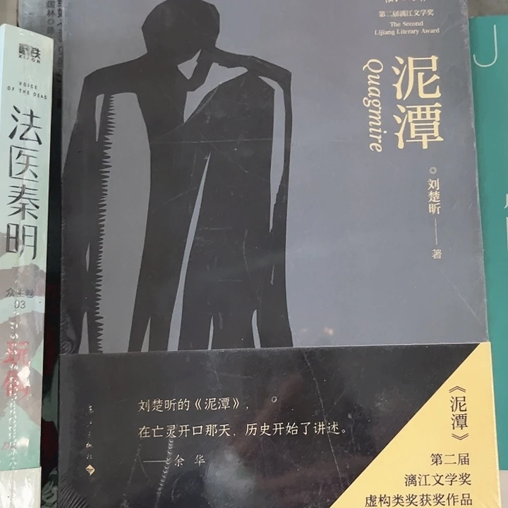 泥潭新书推荐全新