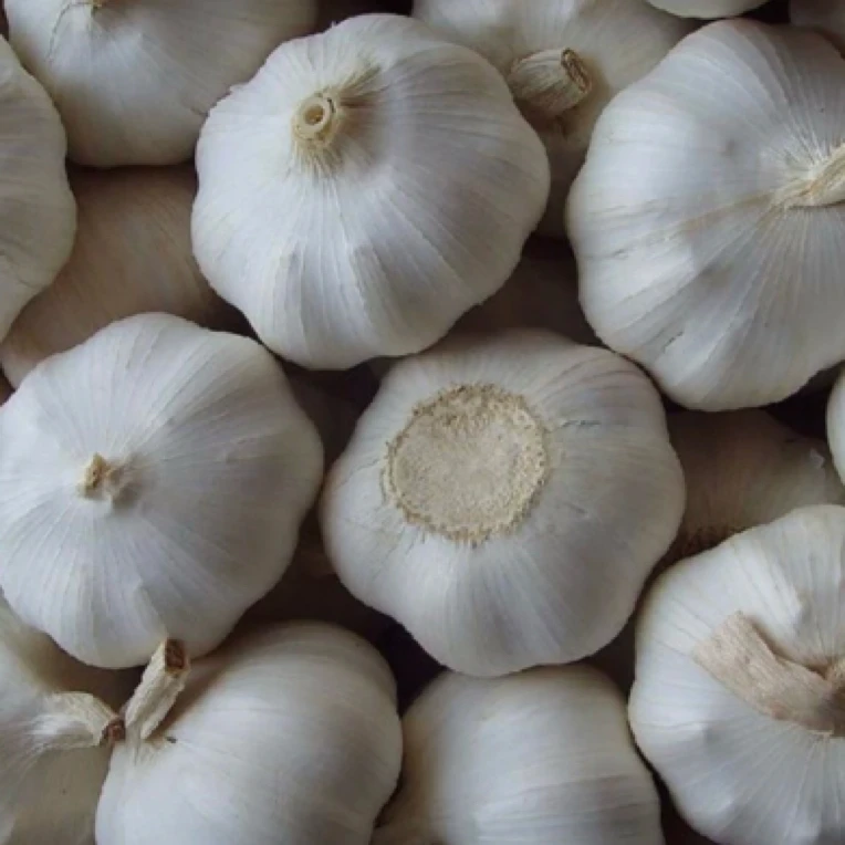 蒜头（250克）