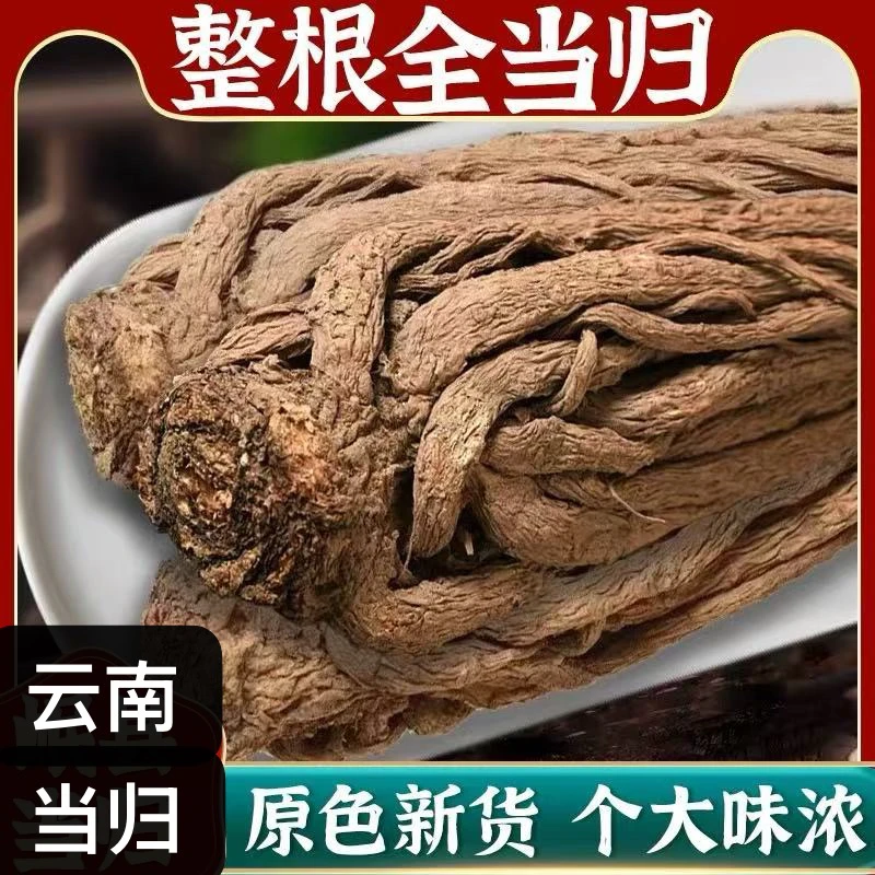 云南当归 云南特产当归深山老当归整颗全当归滋补可搭枸杞