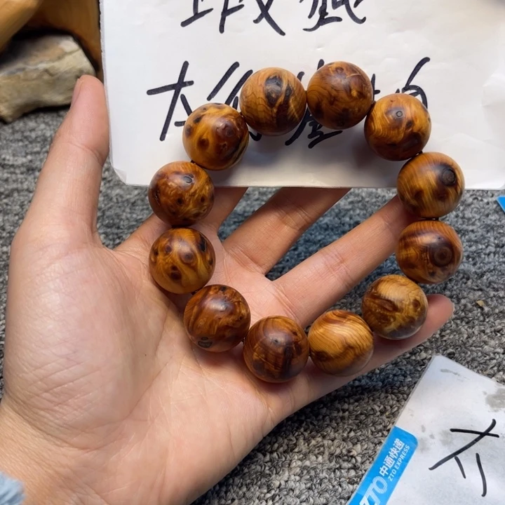 柏木（崖柏）崖柏107