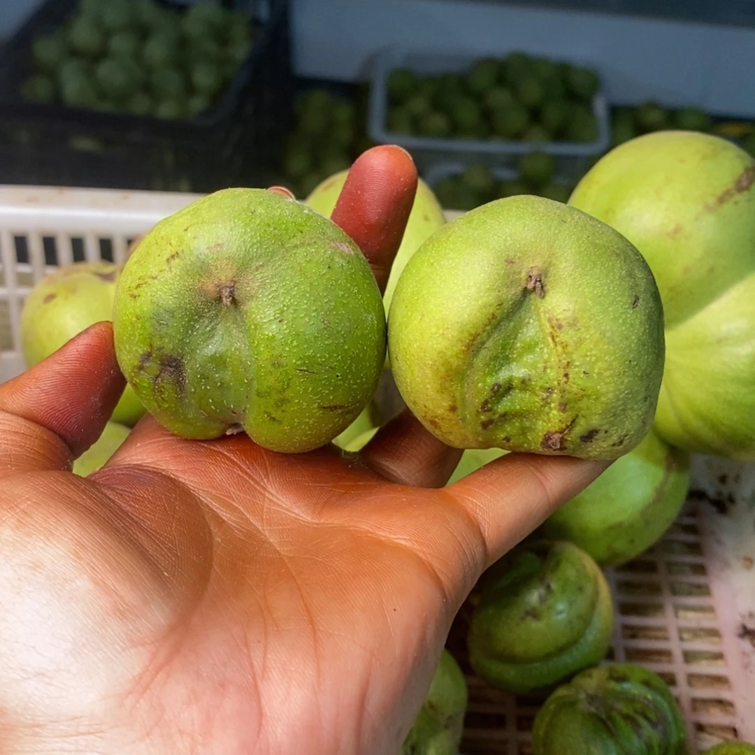 核桃把件青皮蛇头不退不换，看好下单