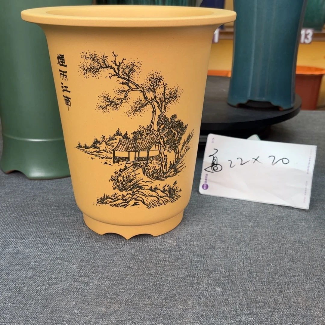 紫砂花盆兰花28755555555455455