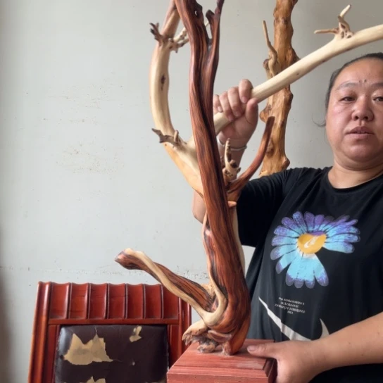 华***J柏木（崖柏）太行崖柏摆件摆件