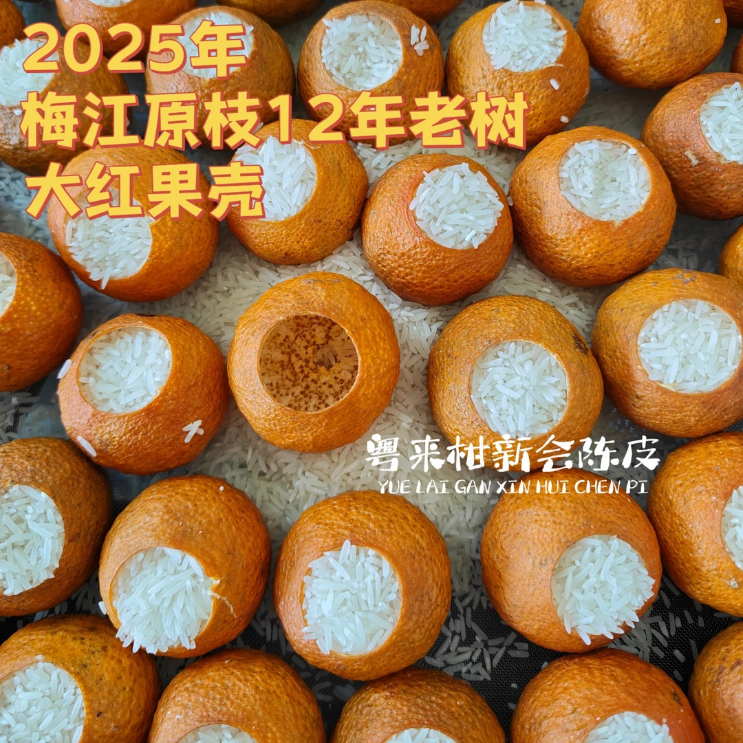 【梅江柑壳】2025年梅江原枝12年大红果壳 剪枝有果蒂
