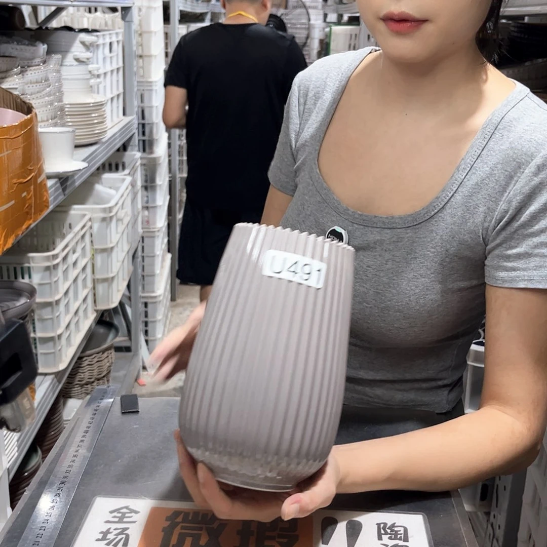 瓷片491            1个