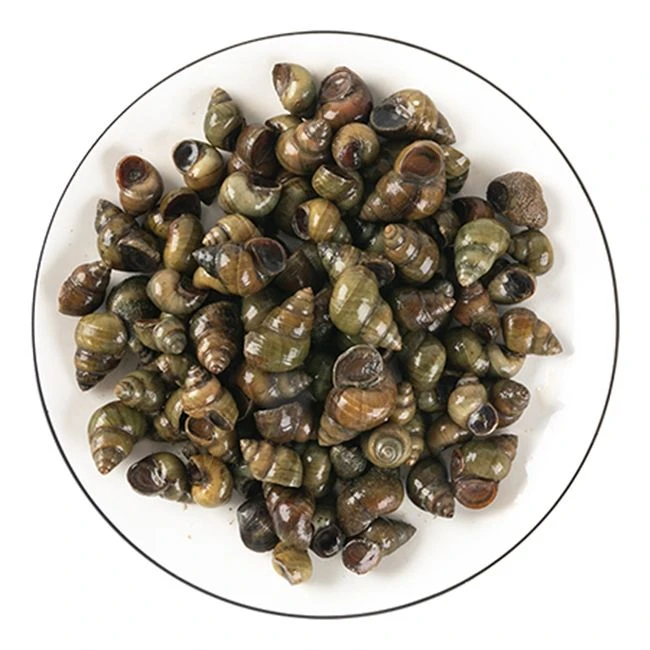 新鲜螺蛳（带尾） 500g±20g/份