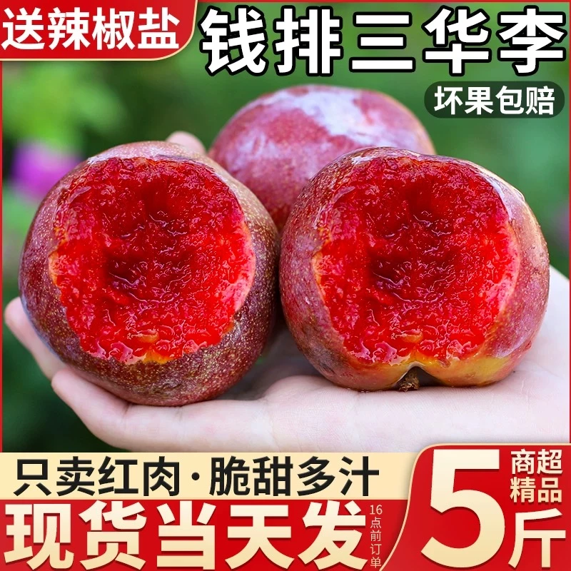 【顺丰包邮】广东正宗钱排银妃三华李新鲜采摘新鲜当季水果酸脆爽口
