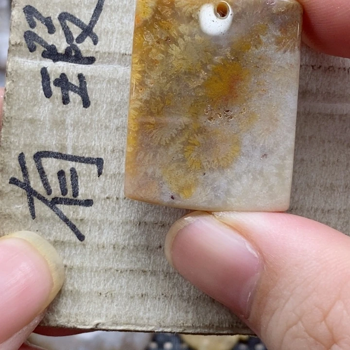 硅化珊瑚（珊瑚玉）颈饰未镶嵌s****a小吊坠