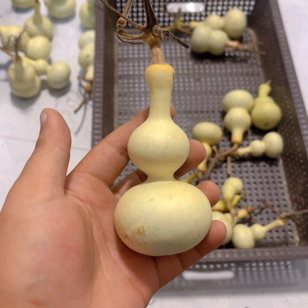 ༽***许感谢大哥支持兄弟保