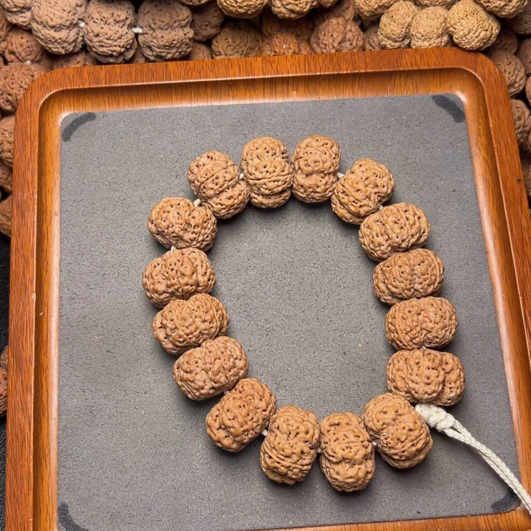 菩提8号尼泊尔大金刚25粗筋梅花五龙夹板梁