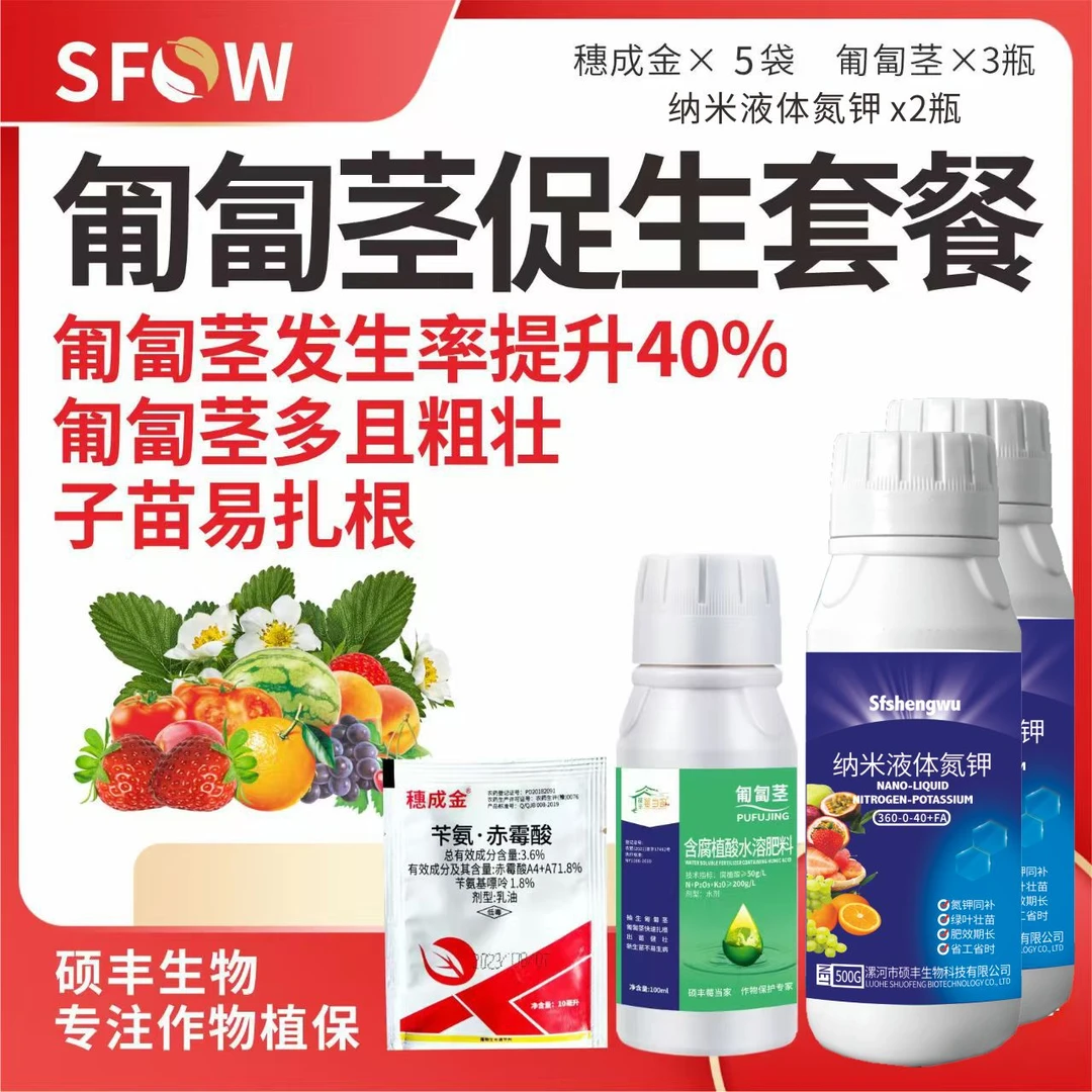 草莓匍匐茎提高发生率新苗健壮抗逆性强叶面肥