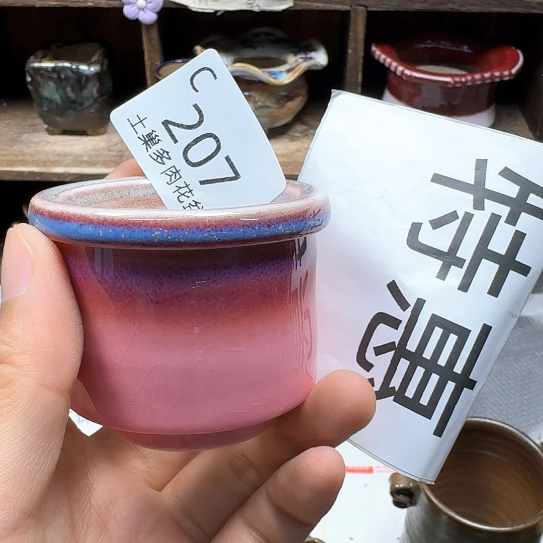 小****陶瓷工艺与艺术设计