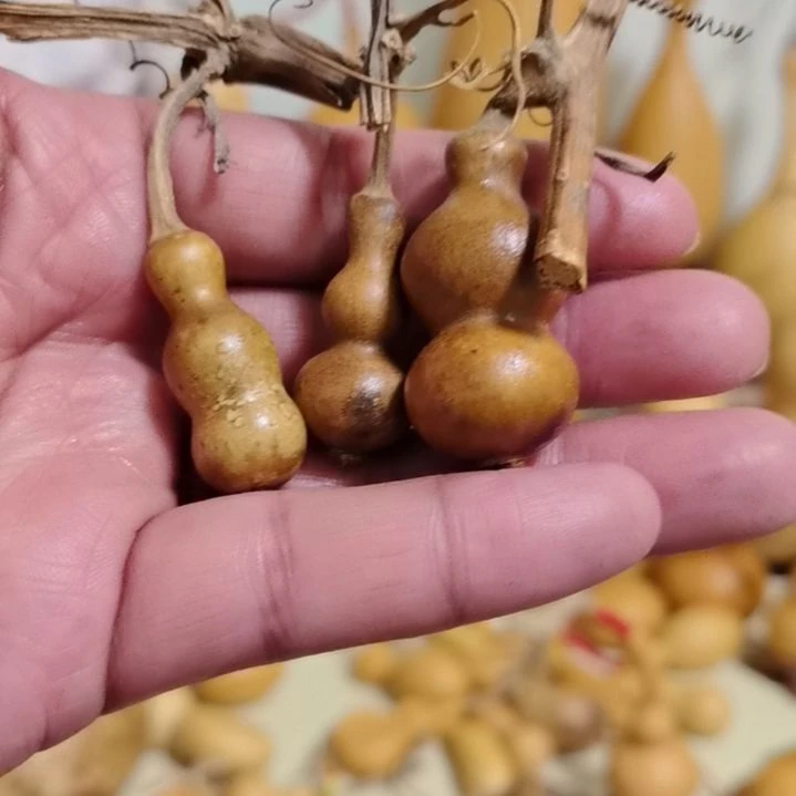 【闪购商品】假**福文玩葫芦。。。。