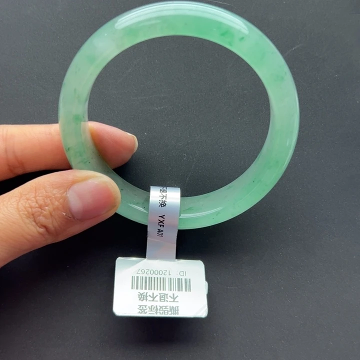 石英质玉（非洲翠）未镶嵌手镯+57.8