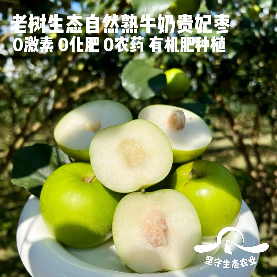 【小甜帽青露福枣】！0激素0化肥农药！有机标准种植老树牛奶贵妃蜜枣