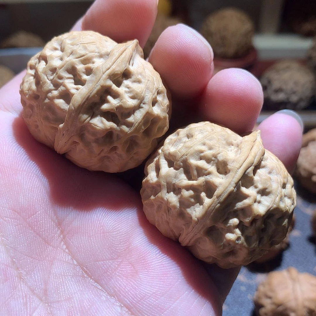 全品无修 云铁小刚炮