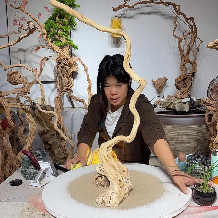 A***n杜鹃根艺术中心根